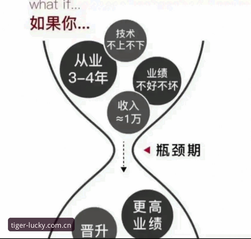 安装失败vs成功安装：博狗网真人娱乐应用突破技术瓶颈的全面对比解析