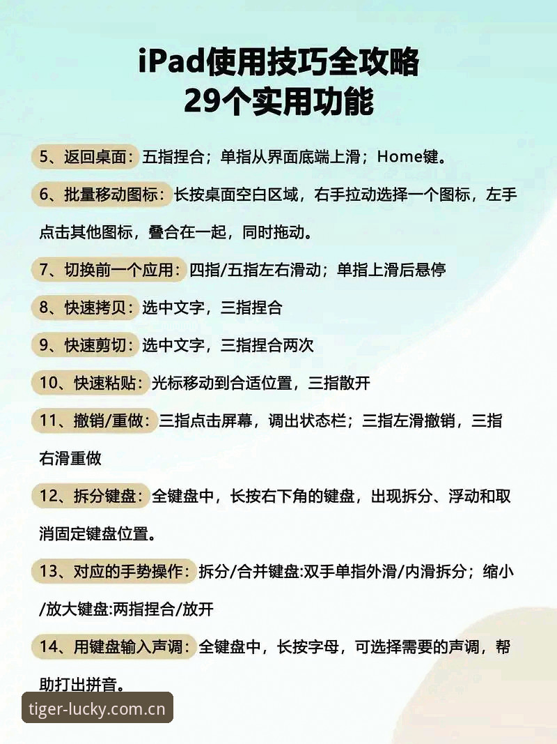 博狗官方平台电脑版详解：从安装到使用的全面指南