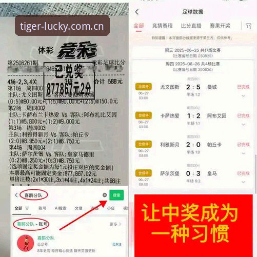 博狗官方平台 vs 普通博彩平台：哪个更值得选择？