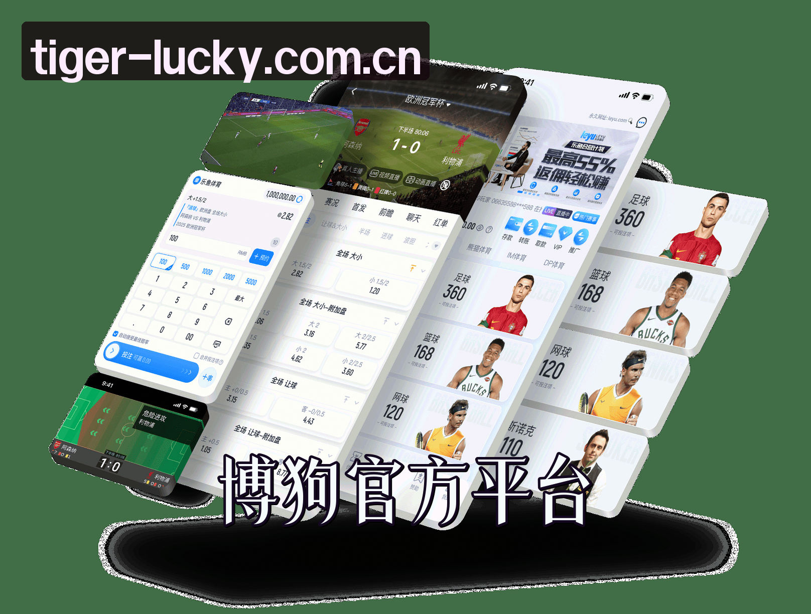 关于我们简介