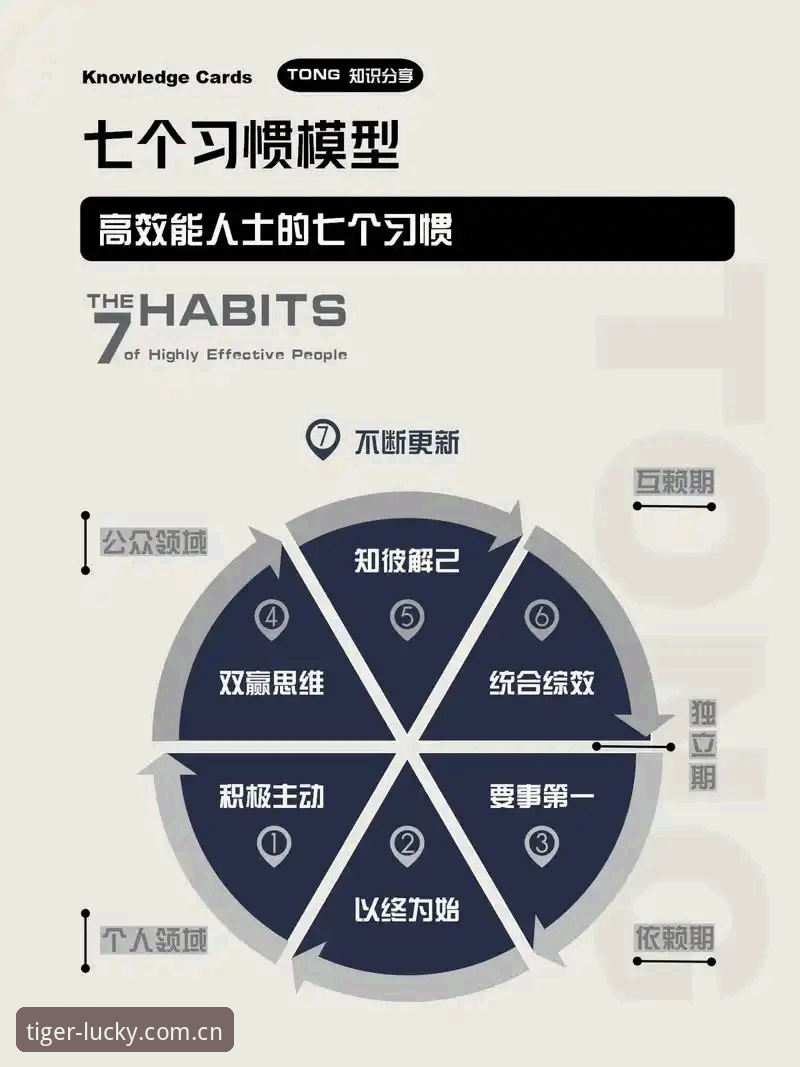 掌握博狗网博彩的实用技巧：安全登录与高效体验必备知识